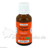 Ingwertropfen Dr.Muches, 20 ML – PZN 5500078