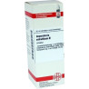 IMPERATORIA OSTR URT, 20 ML – PZN 7170403