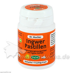 Ingwerpastillen Dr. Muches zuckerfrei, 27 G – PZN 11348278