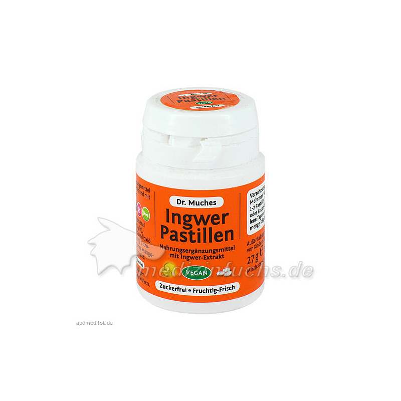 Ingwerpastillen Dr. Muches zuckerfrei, 27 G – PZN 11348278