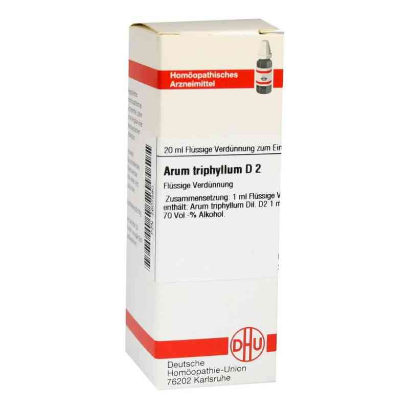 Arum Triphyllum D 2 Dilution (20 ml) – PZN 2607580