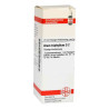 Arum Triphyllum D 2 Dilution (20 ml) – PZN 2607580