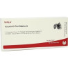 ISCUCIN PINI STAERKE A, 10X1 ML – PZN 4429071