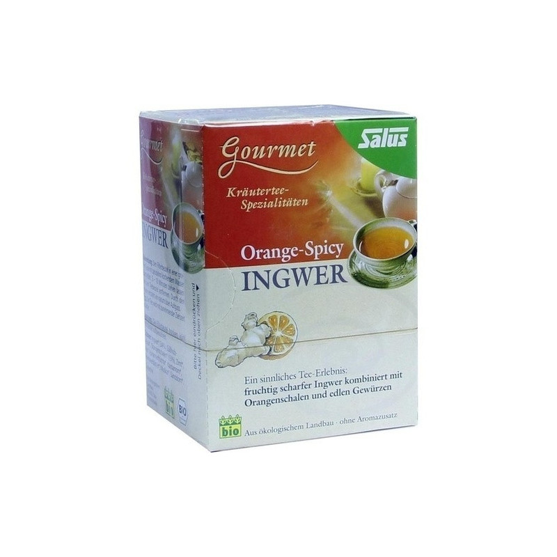 Ingwer Orange-Spicy Tee Salus, 15 ST – PZN 9003980