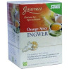 Ingwer Orange-Spicy Tee Salus, 15 ST – PZN 9003980
