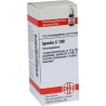 IGNATIA C100, 10 G – PZN 7457346