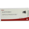 ISCUCIN PINI STAERKE C, 10X1 ML – PZN 4429119