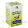 Ingwer 500mg Kapseln+Vit B1+C, 90 ST – PZN 6732879