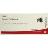 ISCUCIN PINI STAERKE D, 10X1 ML – PZN 4429131