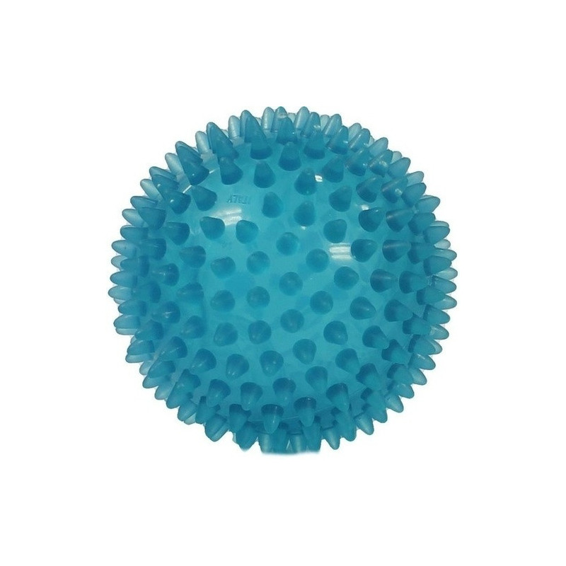 Igelball 10cm blau-transparent, 1 ST – PZN 1231718