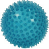 Igelball 10cm blau-transparent, 1 ST – PZN 1231718