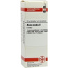 ALSINE MEDIA URT, 20 ML – PZN 4202717