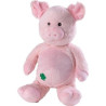 WARMIES Beddy Bear Gl, 1 ST – PZN 10353001