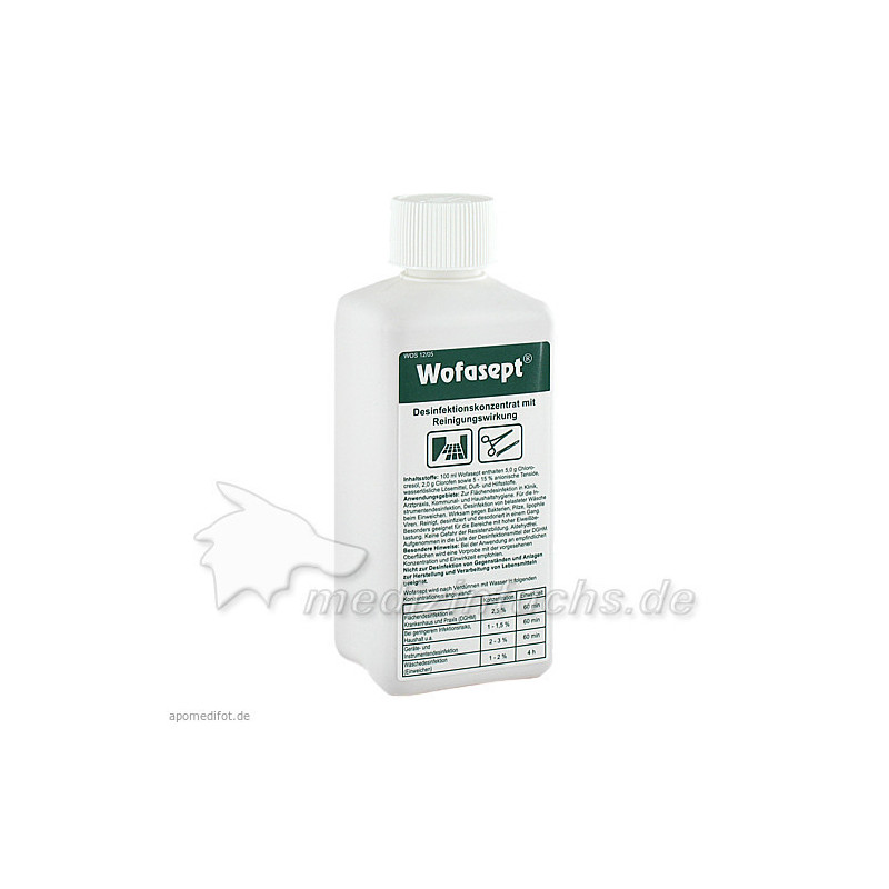 WOFASEPT Instrumenten- und Fl, 250 ML – PZN 4669119