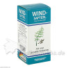 WINDSAFTERL mit K, 100 ML – PZN 4651303