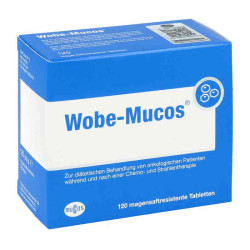 Wobe-mucos magensaftresistente Tabletten (120 stk) – PZN 11181068