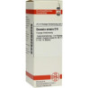 Quassia D 6 Dilution (20 ml) – PZN 7177227