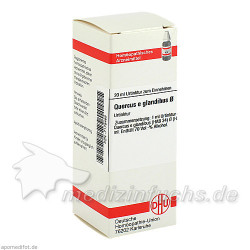 QUERCUS E GLANDIBUS URT=D 1, 20 ML – PZN 7178468