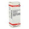 Quebracho D 2 Dilution (20 ml) – PZN 2806664