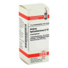 Acidum Hydrochloricum D 10 Globuli (10 g) – PZN 4200693