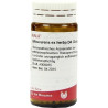 URTICA URENS EX HERBA D 4, 20 G – PZN 8788298