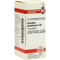 Ailanthus Gland. C 30 Globuli (10 g) – PZN 7157880
