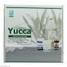 YUCCA KUR 1 Monat, 1 P – PZN 692788