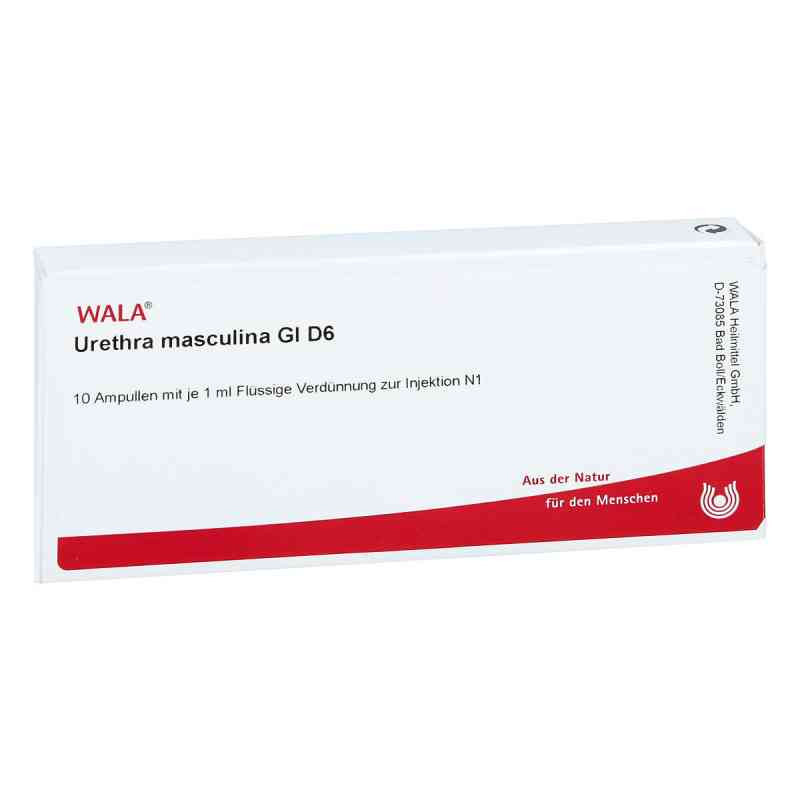 Urethra Masculina Gl D 6 Ampullen (10X1 ml) – PZN 491328