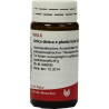 URTICA DIOICA E PL TOT D 6, 20 G – PZN 8788275