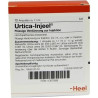 URTICA INJ, 10 ST – PZN 1067868