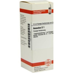 Aesculus D 1 Dilution (20 ml) – PZN 2120748
