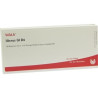 UTERUS GL D 4, 10X1 ML – PZN 3789287
