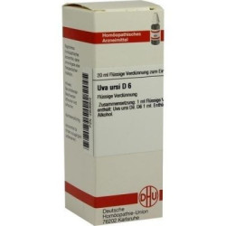 Uva Ursi D 6 Dilution (20 ml) – PZN 2806902