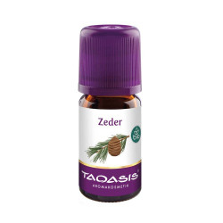 ZEDER , 5 ML – PZN 3292687