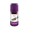 ZEDER , 5 ML – PZN 3292687