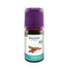 ZIMT BIOAROMA Baldini , 5 ML – PZN 9539019