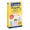Zirkulin Propolis-kapseln (30 stk) – PZN 523181
