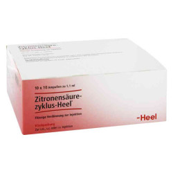 Zitronensäurezyklus Heel Ampullen (100 stk) – PZN 6156128
