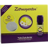 ZITRUSGARTEN Set+Dose+Stein, 1 ST – PZN 6954829
