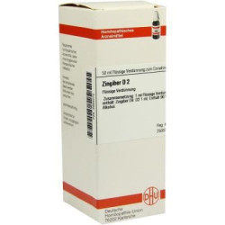 Zingiber D 2 Dilution (50 ml) – PZN 2934072