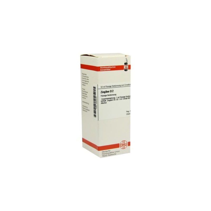 Zingiber D 2 Dilution (50 ml) – PZN 2934072