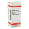 Zincum Picrinicum D 6 Tabletten (80 stk) – PZN 2186
