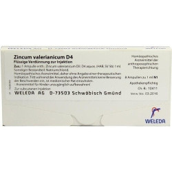 ZINCUM VALERIANICUM D 4 Ampullen, 8X1 ML – PZN 1627304
