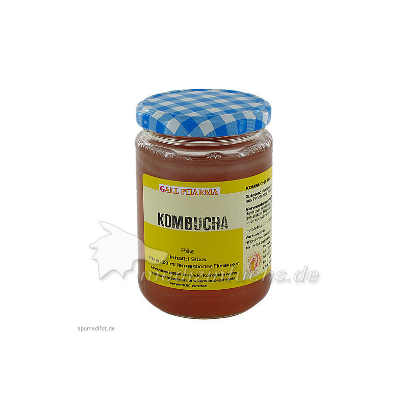 KOMBUCHA TEEPILZ, 1 ST – PZN 1688955