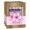 Kneipp Geschenkpackung Hautzart (2X200 ml) – PZN 12893925