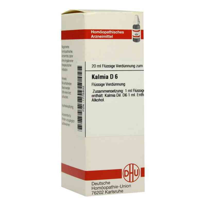 Kalmia D 6 Dilution (20 ml) – PZN 1775832
