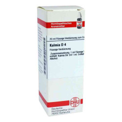 Kalmia D 4 Dilution (20 ml) – PZN 2118929