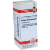 Kalium Bichromicum C 1000 Globuli (10 g) – PZN 7247962