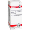 Kalium Chloratum D 10 Globuli (10 g) – PZN 7248039