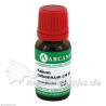KALIUM CARBONIC LM 6, 10 ML – PZN 7540691